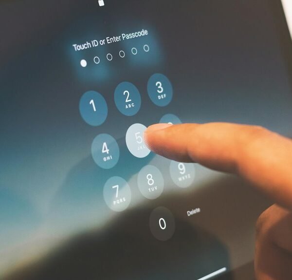 professional web system performance identifier